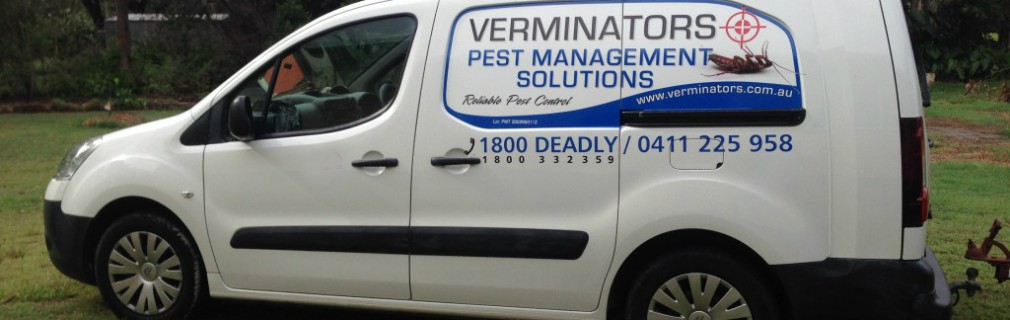 Caboolture pest control