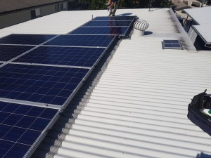 Pigeon proofing solar panels