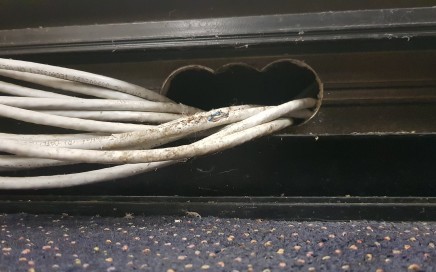 rodent run, rat run, chewed wires.