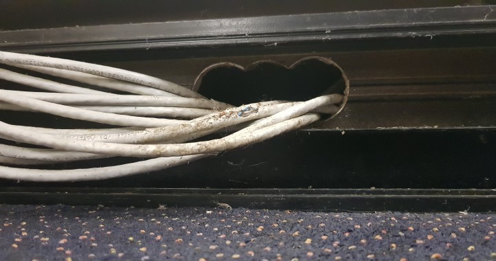 rodent run, rat run, chewed wires.